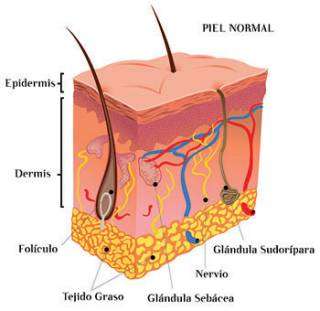 DERMATOLOGÍA EN MEDICINA INTERNA