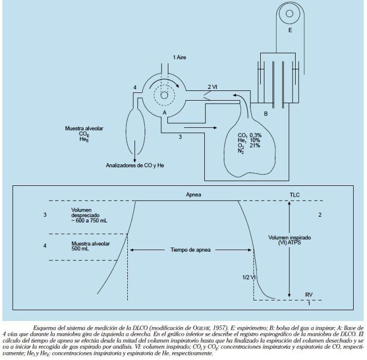 INTERCAMBIO PULMONAR DE GASES