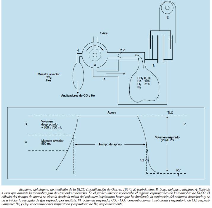 INTERCAMBIO PULMONAR DE GASES