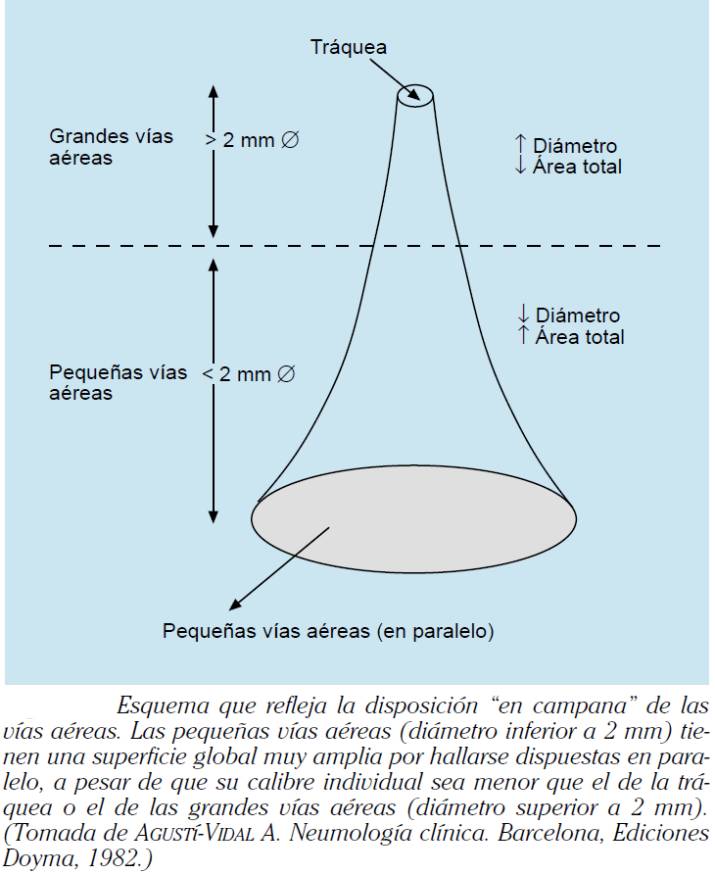 PERFUSIÓN PULMONAR