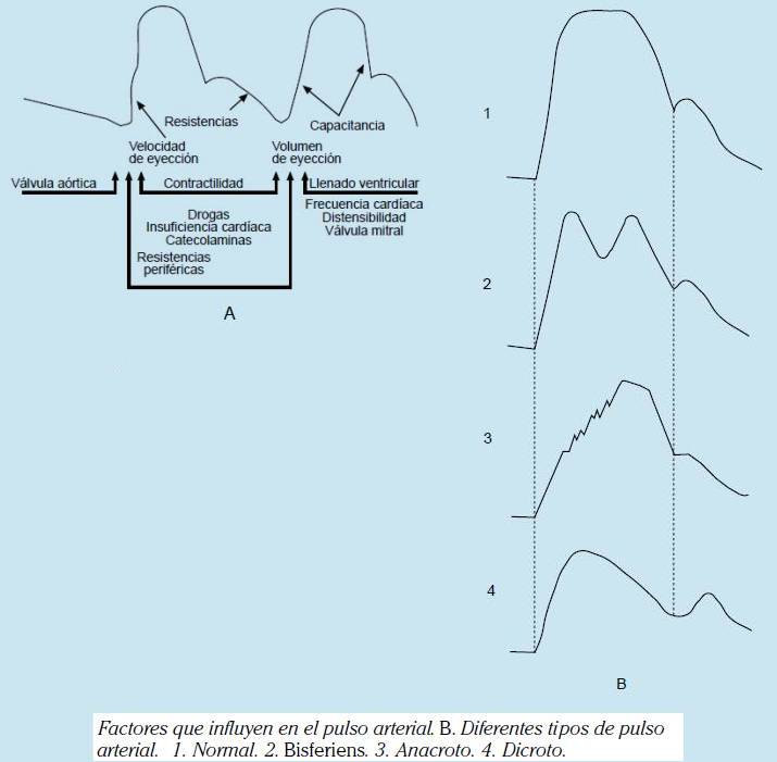 EXAMEN DEL PULSO Y PRESIÓN ARTERIAL