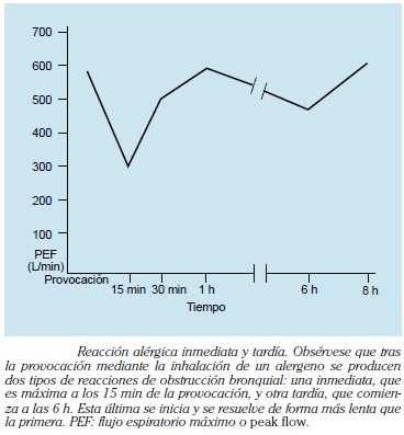 Reacción alérgica inmediata y tardía