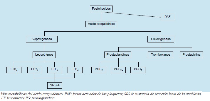 FISIOPATOLOGÍA