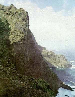 HABITANTES PELIGROSOS DEL MAR